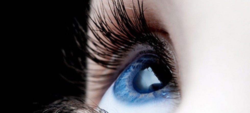 Cornea & Ocular Surface