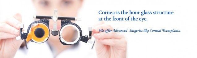 CORNEA AND OCULAR SURFACE